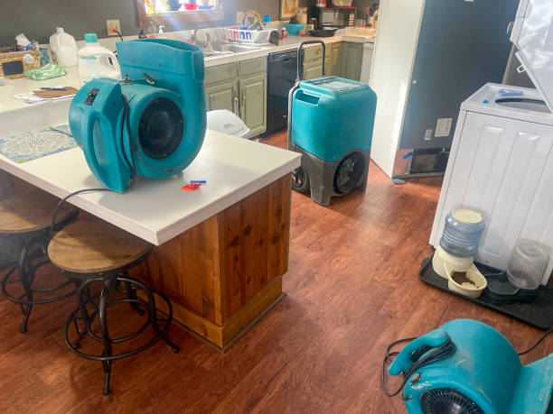 Best 24/7 water damage repair  in Valley Mills, TX