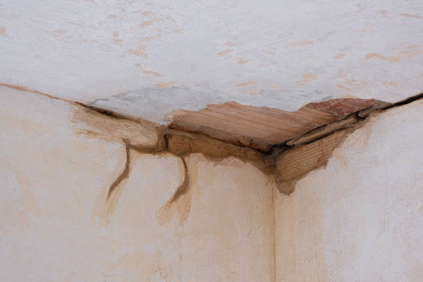 Best Basement water damage restoration  in Valley Mills, TX