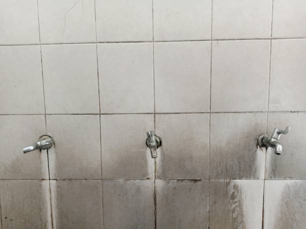 Best Ceiling water damage repair  in Valley Mills, TX