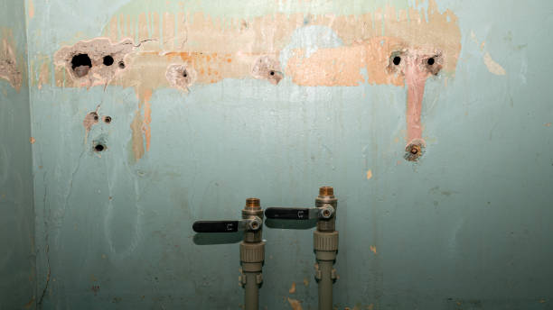 Best Sewage cleanup and water damage restoration  in Valley Mills, TX